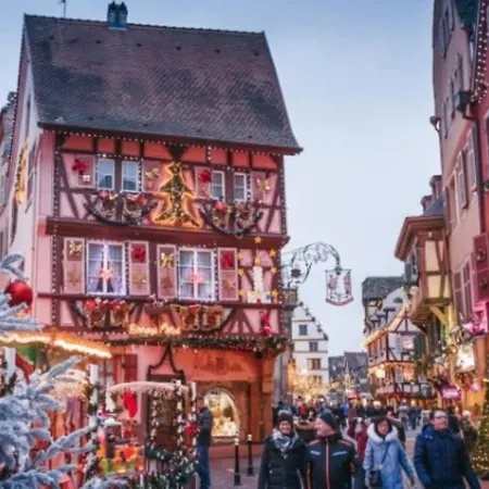 Daire Cosy Independante Evasion Env Colmar *