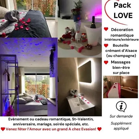 Cosy Independante Evasion Env Colmar Daire Wintzenheim