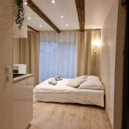 Cosy Independante Evasion Env Colmar Apartmán