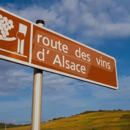 Cosy Independante Evasion Env Colmar *