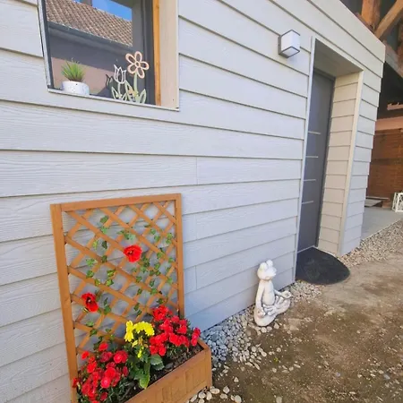 Cosy Indépendante Evasion Env Colmar Appartamento