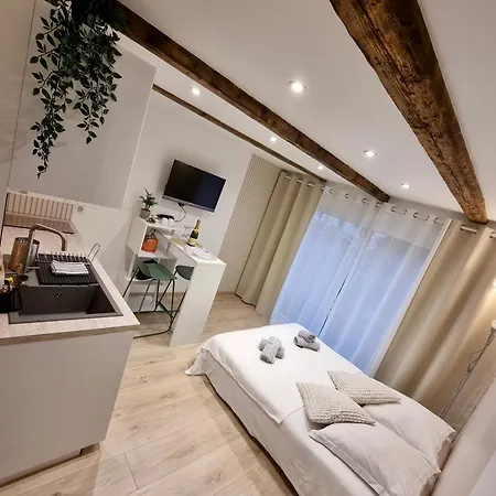 Cosy Independante Evasion Env Colmar Daire Wintzenheim