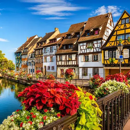 Daire Cosy Independante Evasion Env Colmar *