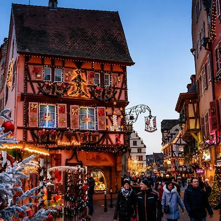 Cosy Independante Evasion Env Colmar Daire Wintzenheim