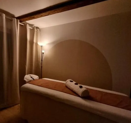 Cosy Independante Evasion Env Colmar Apartment *