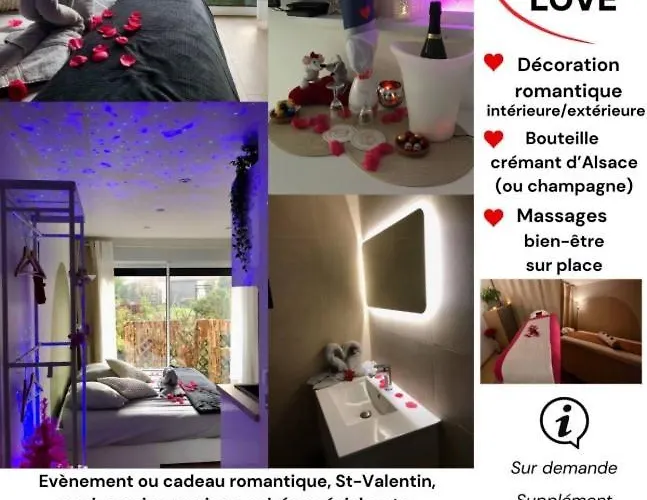 Cosy Independante Evasion Env Colmar Appartement Wintzenheim