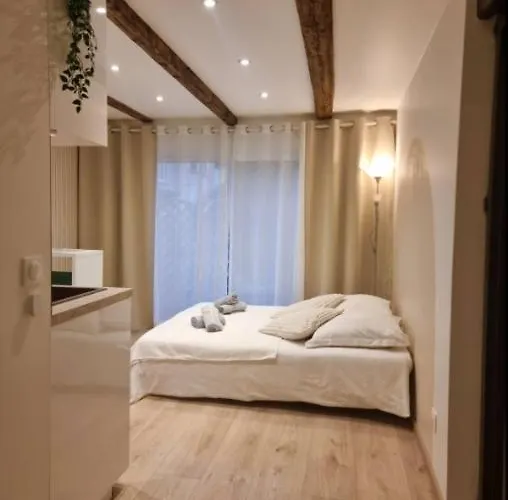 Cosy Independante Evasion Env Colmar Apartment