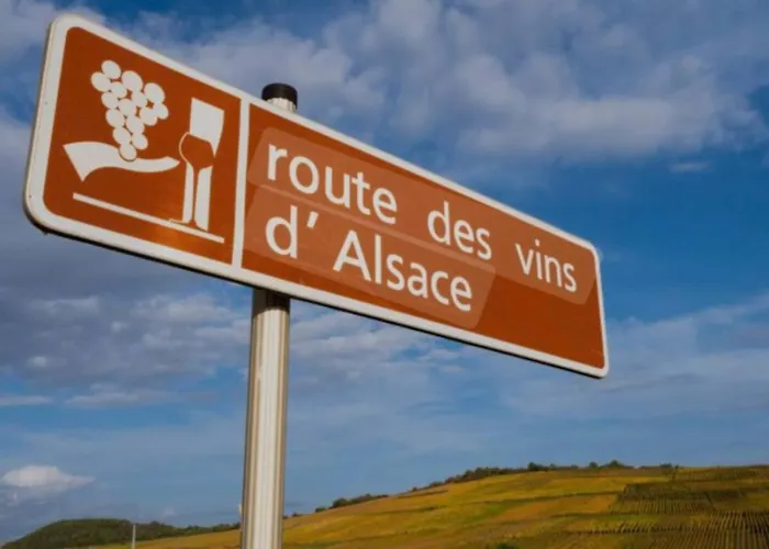 Cosy Independante Evasion Env Colmar *