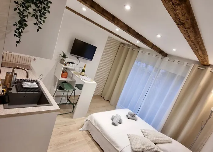Apartment Cosy Independante Evasion Env Colmar